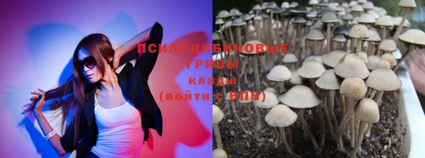 меф Горно-Алтайск