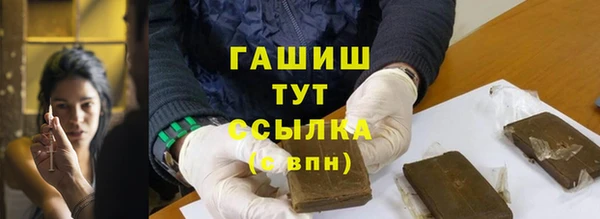 стафф Гусев