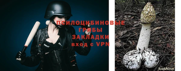 сатива Горнозаводск