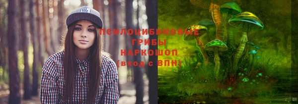сатива Горнозаводск